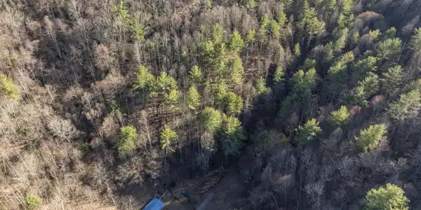 841 Green Road
