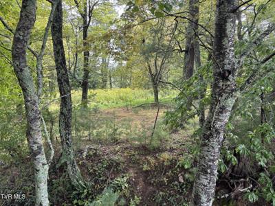 Lot 3 Locust Gap Road