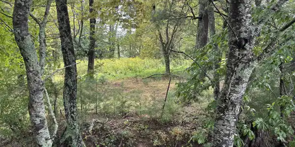 Lot 3 Locust Gap Road