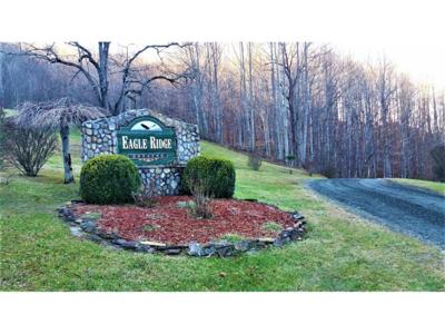 11 Roan Springs Lane