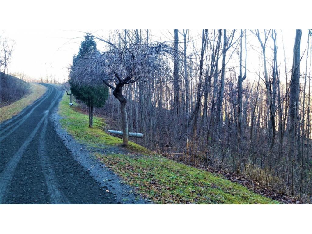 Image 2: Photo 1