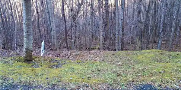 Image 4: Photo 4