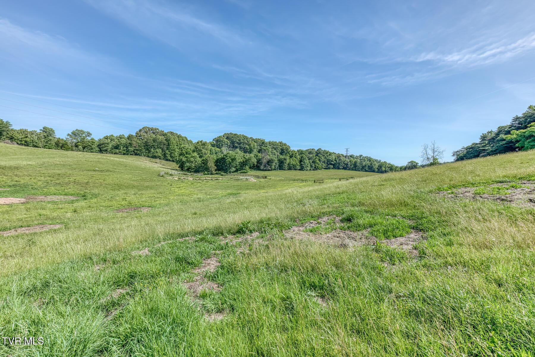 Image 2: TBD Treadway Trail-36
