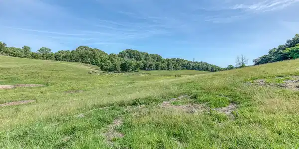 Image 2: TBD Treadway Trail-36
