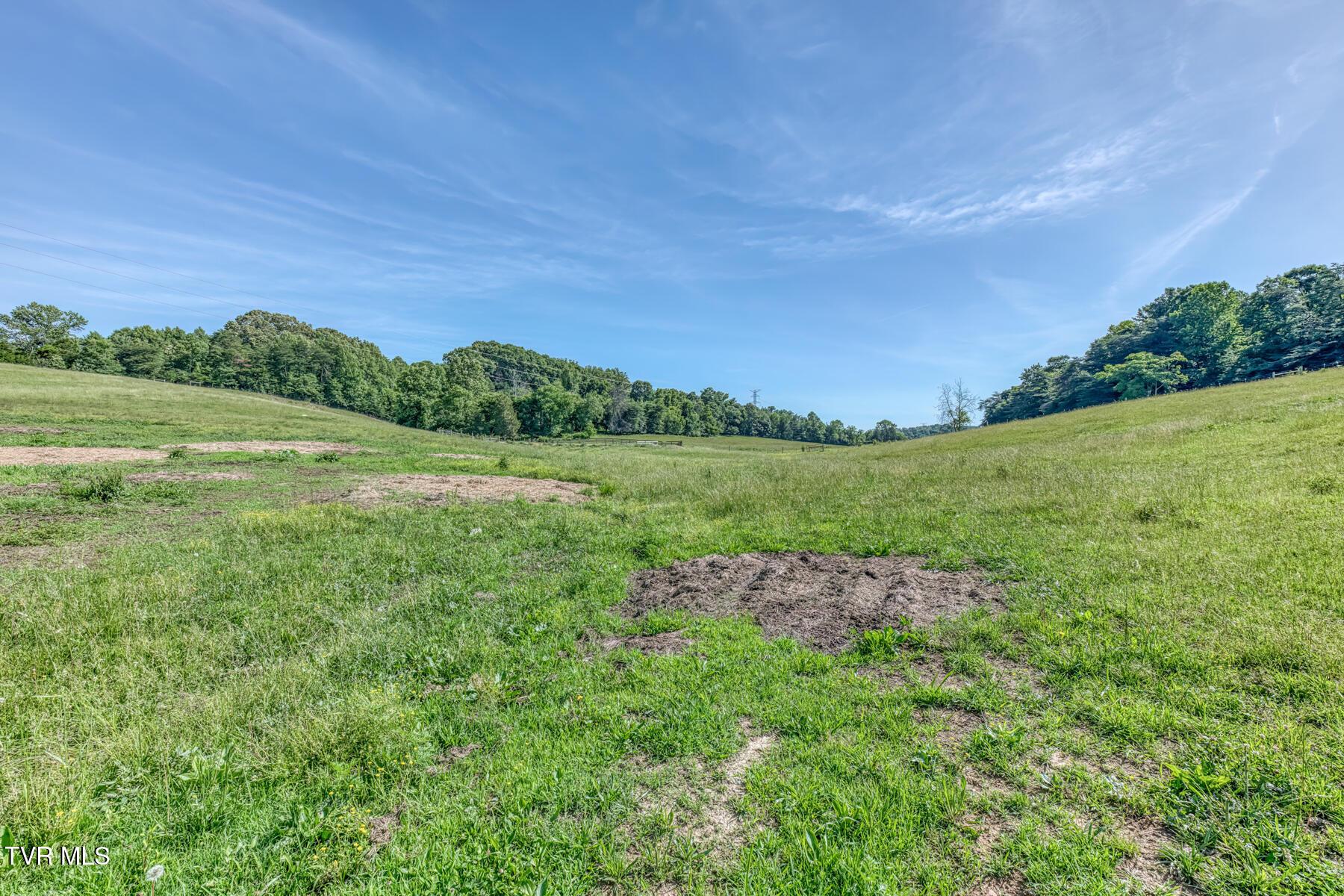 Image 3: TBD Treadway Trail-35