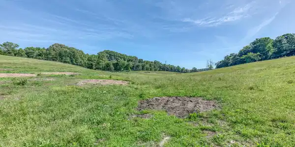 Image 3: TBD Treadway Trail-35