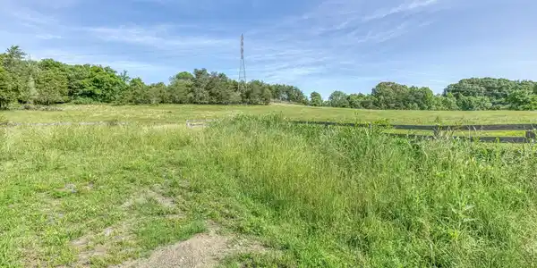 Image 4: TBD Treadway Trail-30