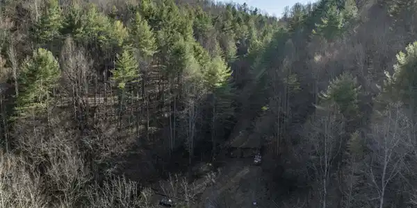 Image 2: Green-Aerials-3