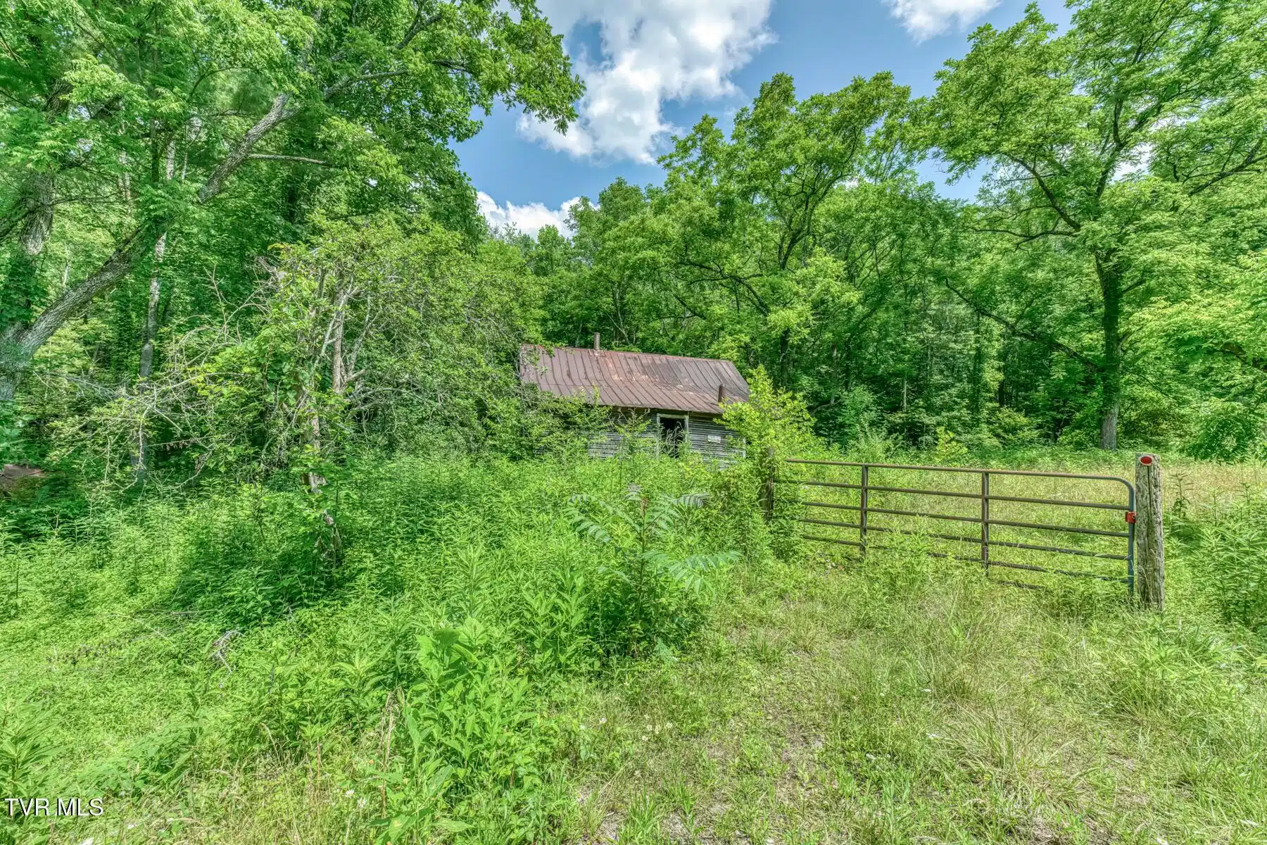 Image 1: 1652 Sciota Rd-3