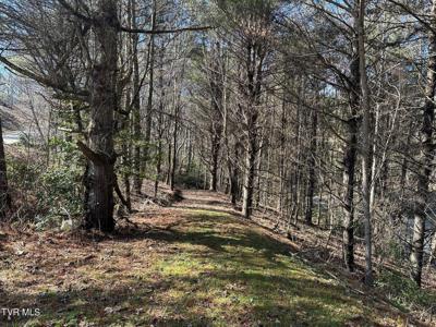 Tbd00 Laurelwood Drive
