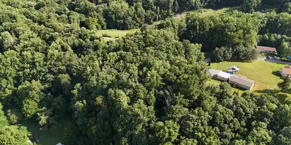 Image 4: dji_fly_20260709_093730_0436_17836039101