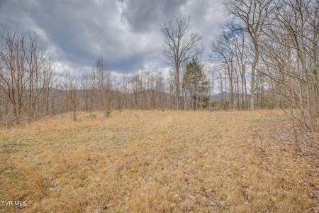 614 Tulip Poplar Trail