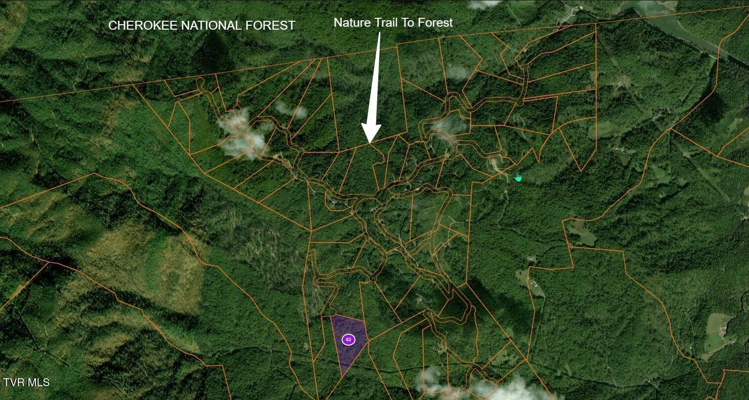 Image 4: Nature Trail National Forest