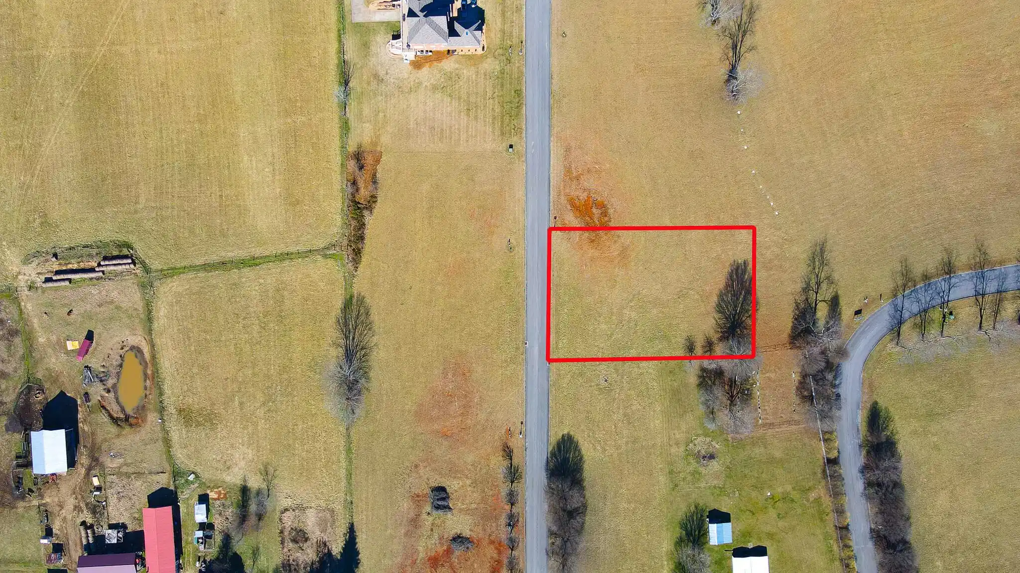 Image 1: 50 Birds Eye w PL