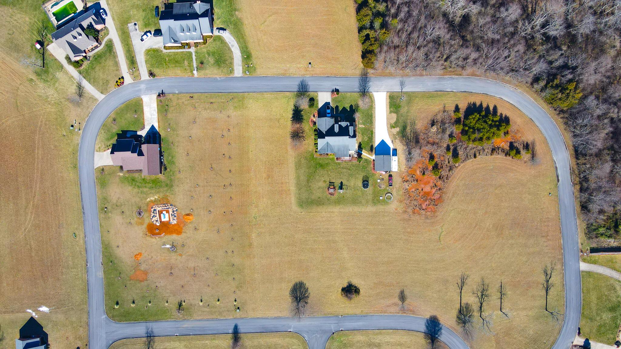 Image 3: 69-72,74,79-81 Birds Eye(1)