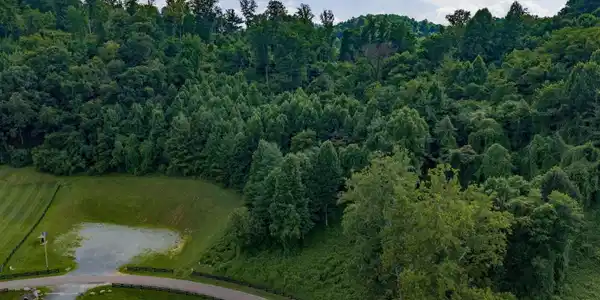 Image 3: 17-web-or-mls-DJI_20260630165101_0184_D