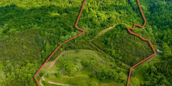 1250 Clinch Mountain Road