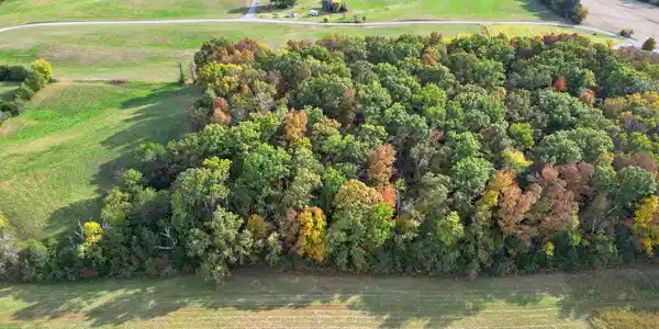 Image 2: 28-web-or-mls-DJI_0520