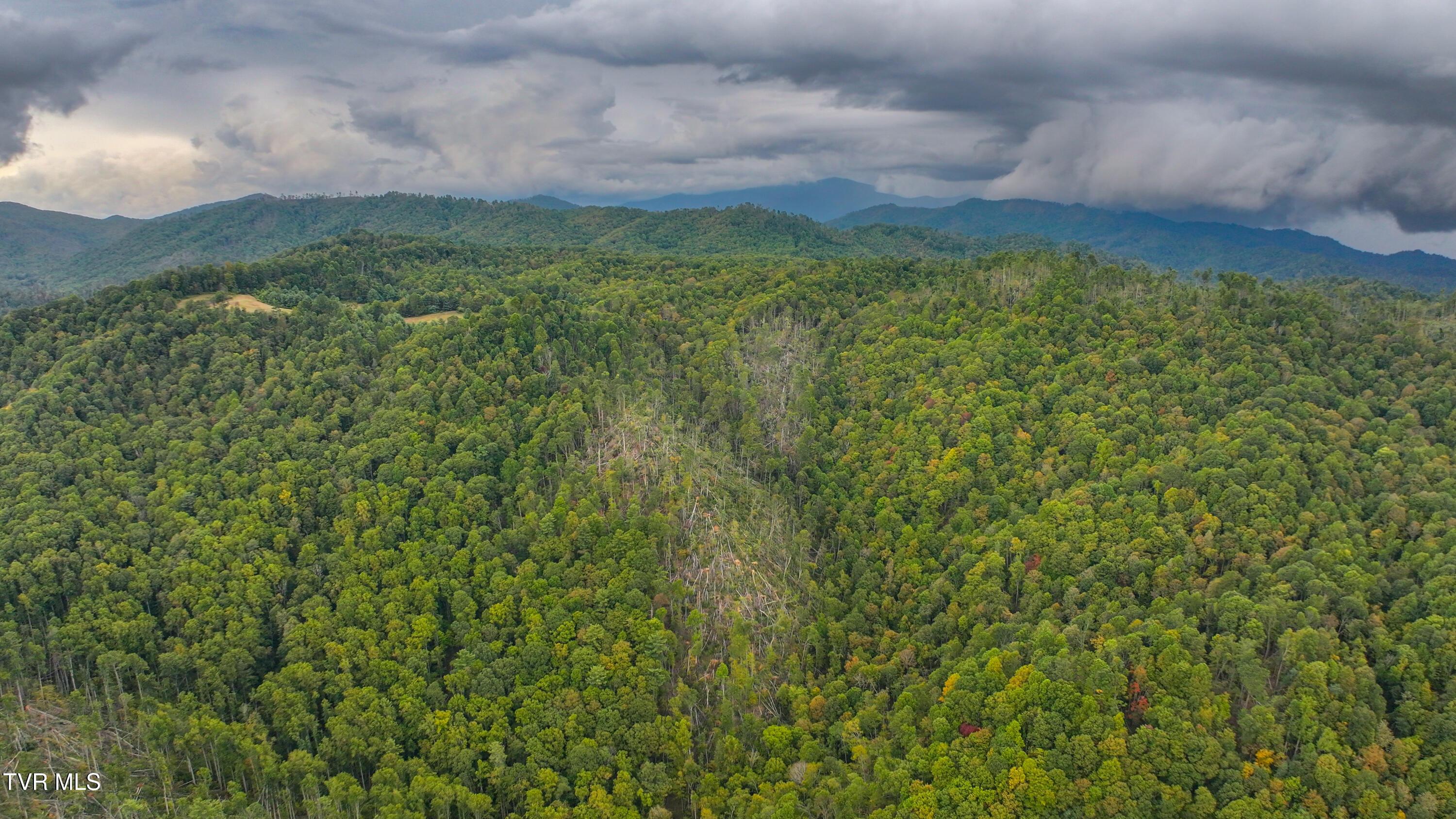 Image 2: Poplar Creek RD_Drone-2