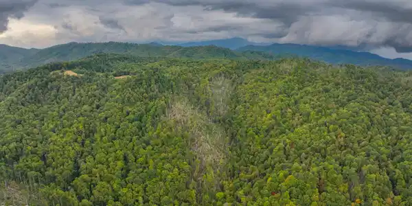 Image 2: Poplar Creek RD_Drone-2