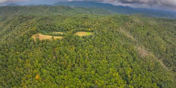 Image 3: Poplar Creek RD_Drone-3