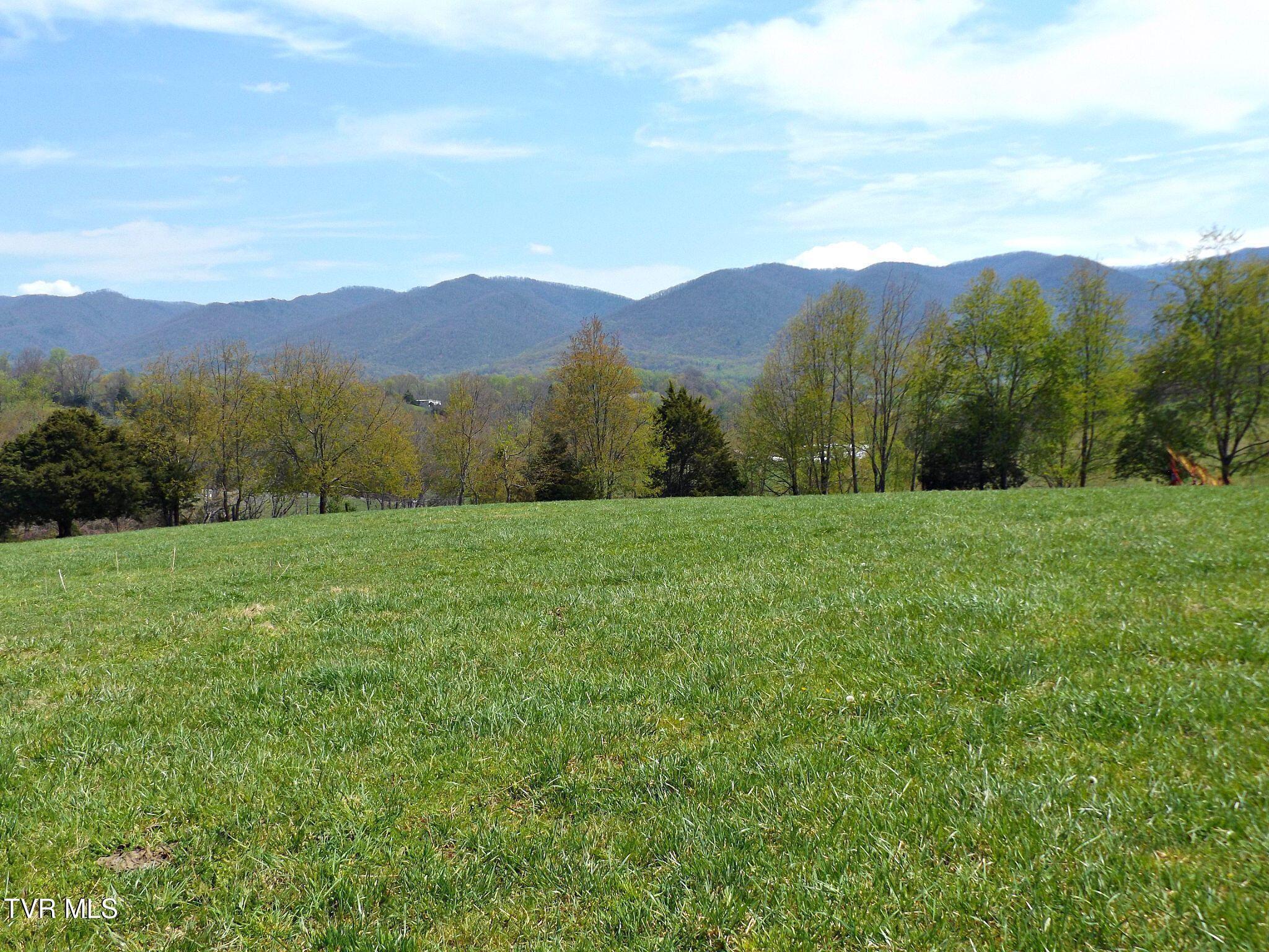 Image 4: Willow19 (1)