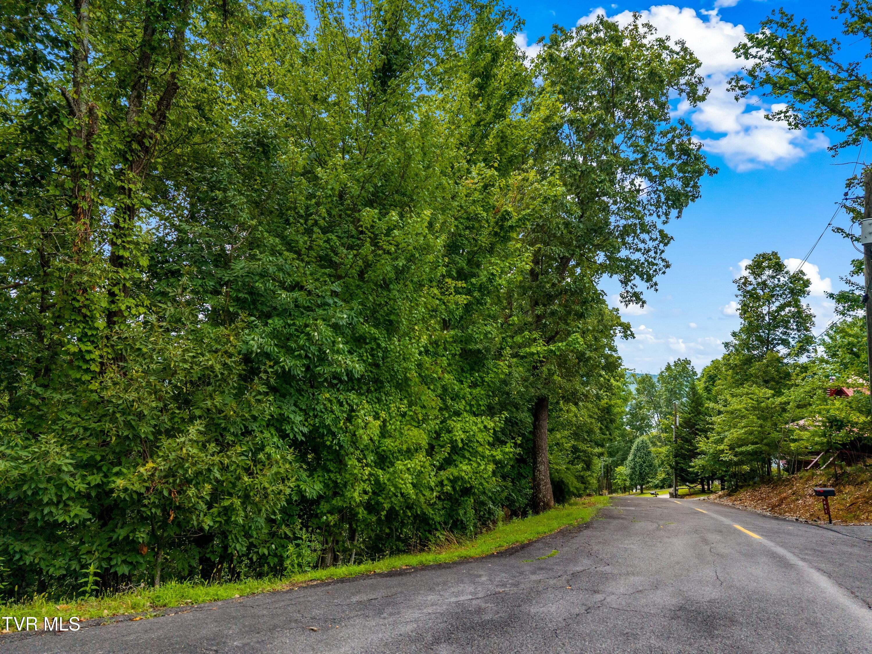 Image 3: 004-648LakeviewDrive-Mooresburg-TN-37811