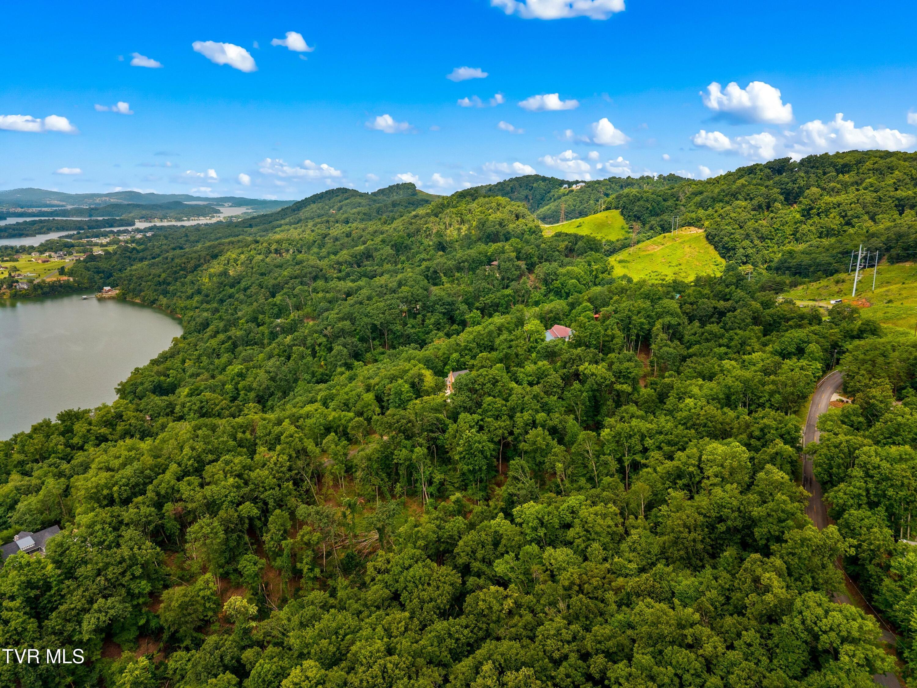 Image 4: 008-648LakeviewDrive-Mooresburg-TN-37811