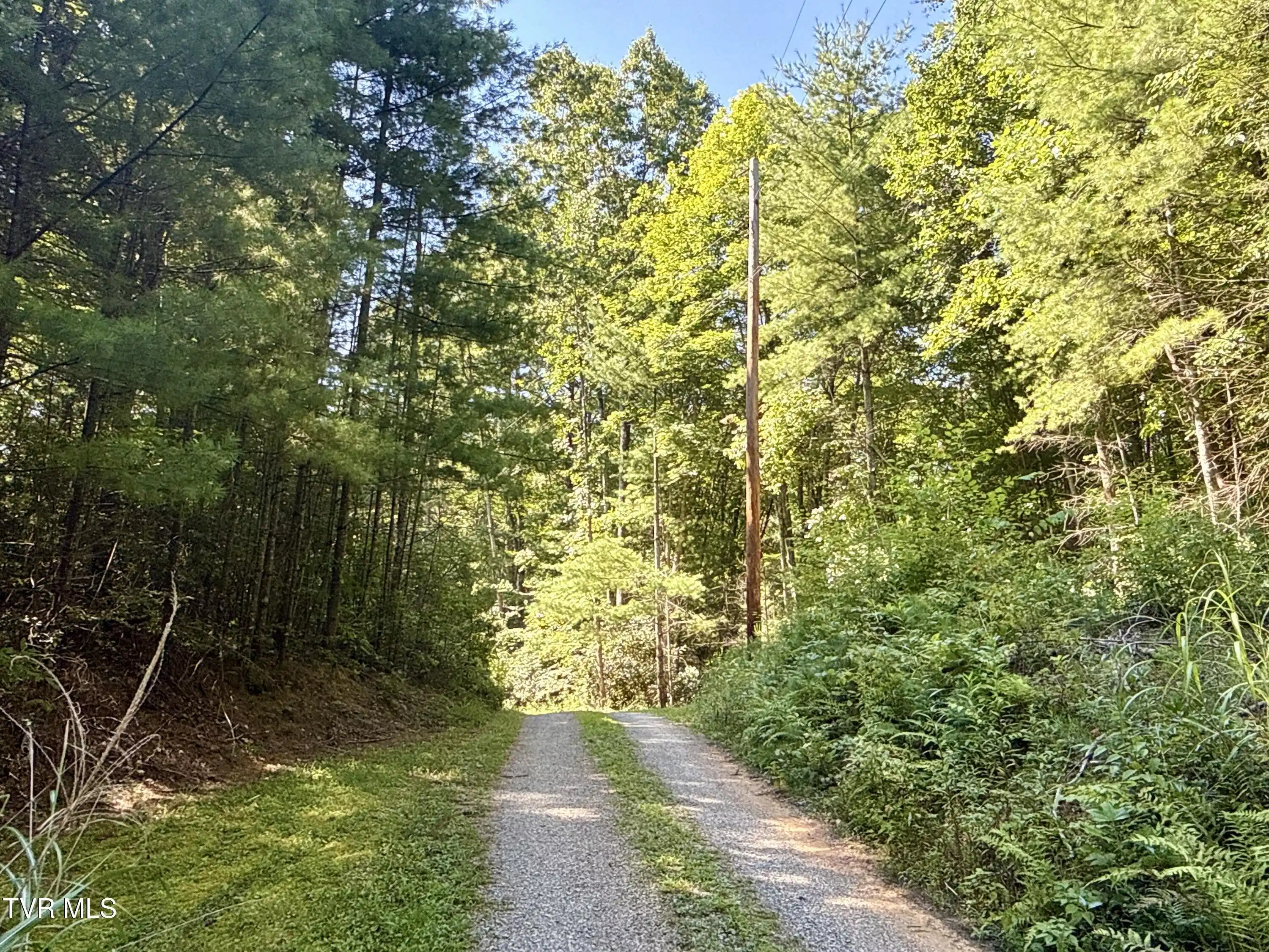 Image 1: _Pic1 (15)