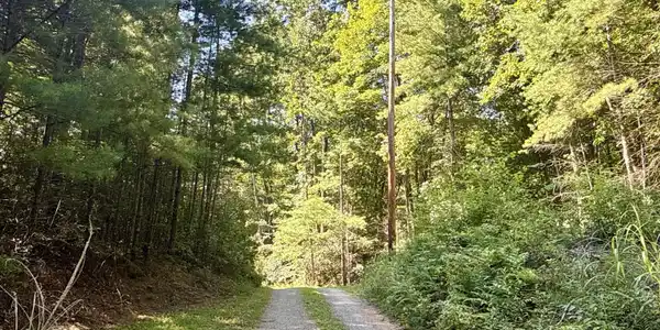 29.38 Acre Bull Mtn Rd Off