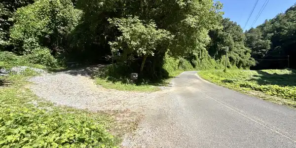 Image 2: _Pic2 (14)