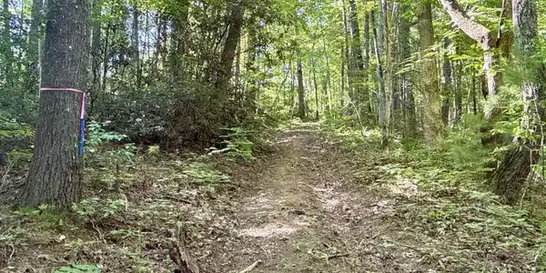 Image 3: _Pic3 (11)