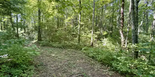 Image 4: _Pic4 (8)