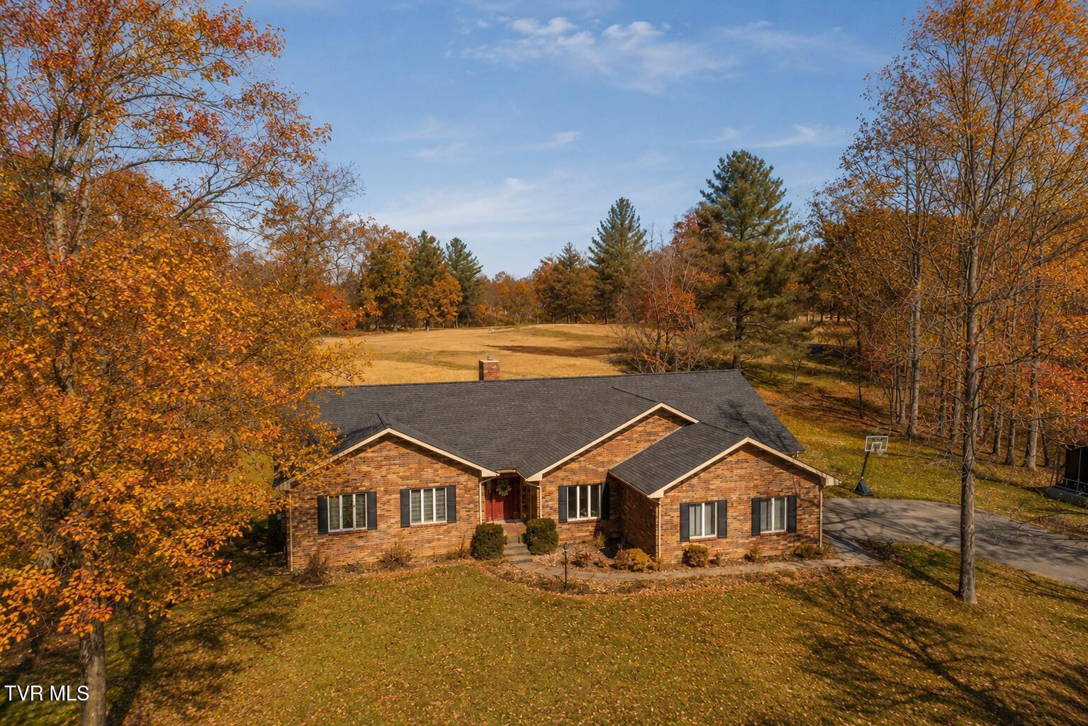 Image 1: Fall