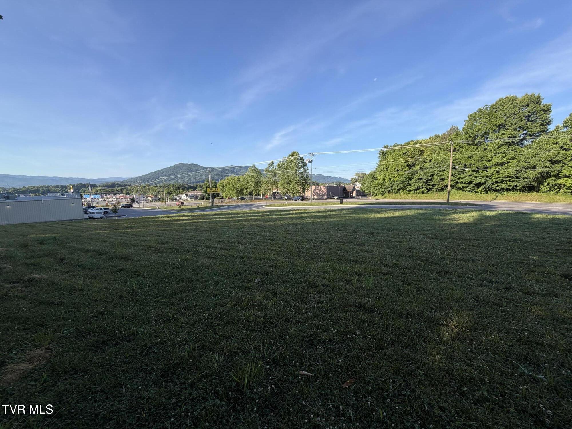 Image 4: IMG_4455