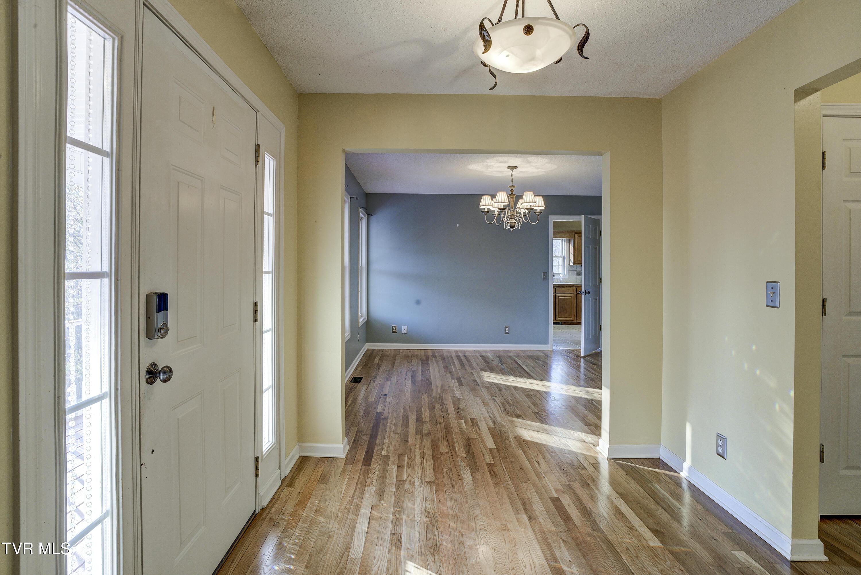 Image 4: BluebirdINTERIOR-1