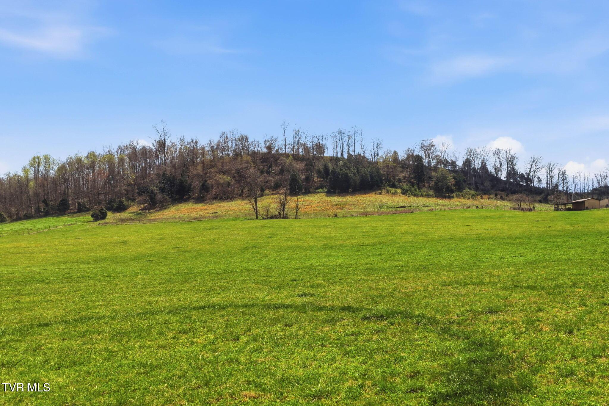 Image 4: 16-web-or-mls-Carters Vly Rd-7