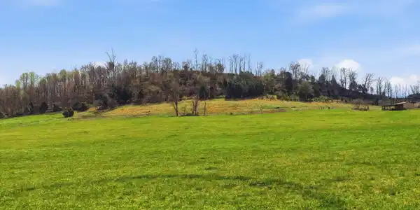 Image 4: 16-web-or-mls-Carters Vly Rd-7