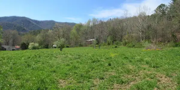 Image 2: barnmtnpastureroadviews-5