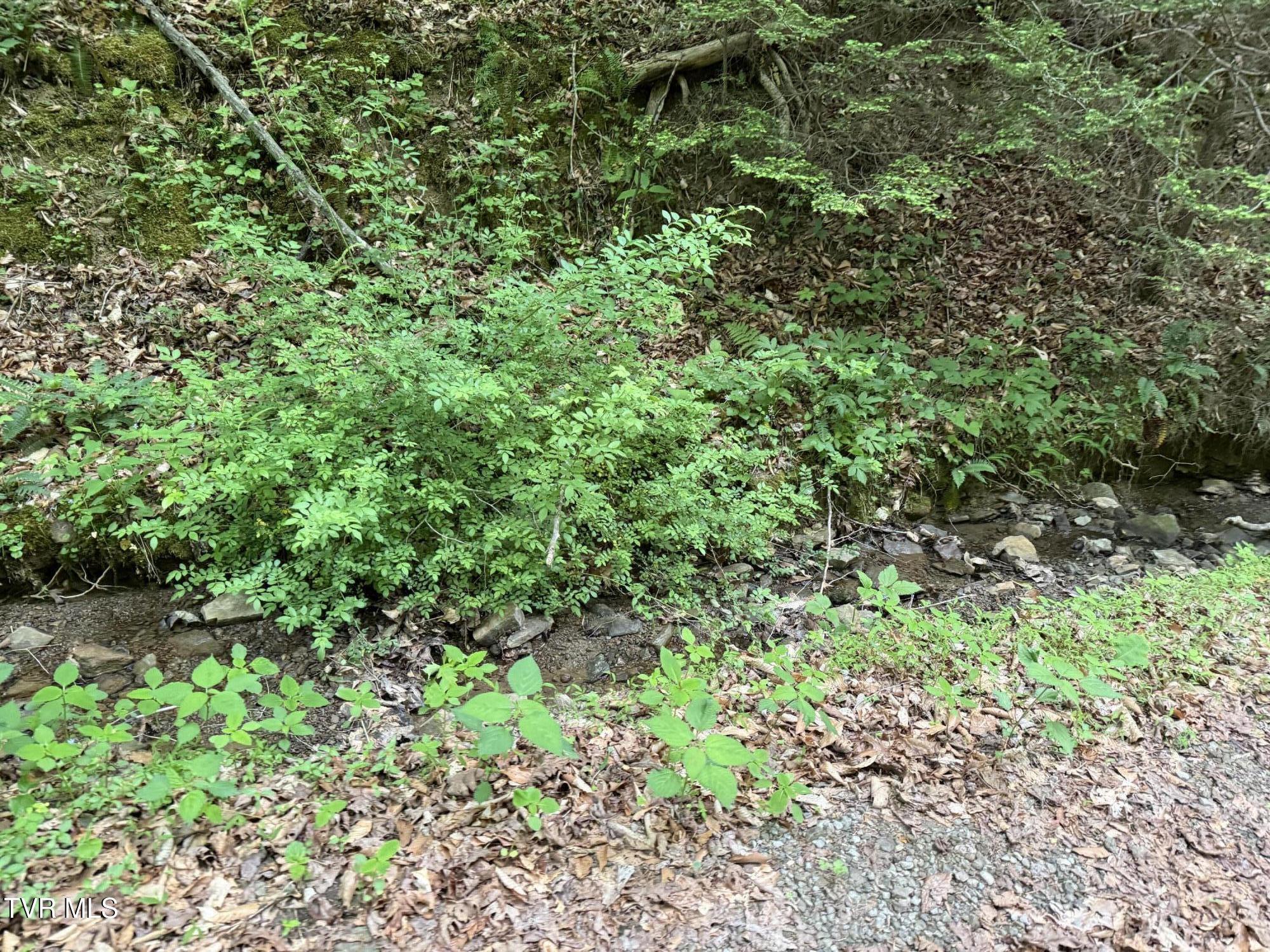Image 3: IMG_2106