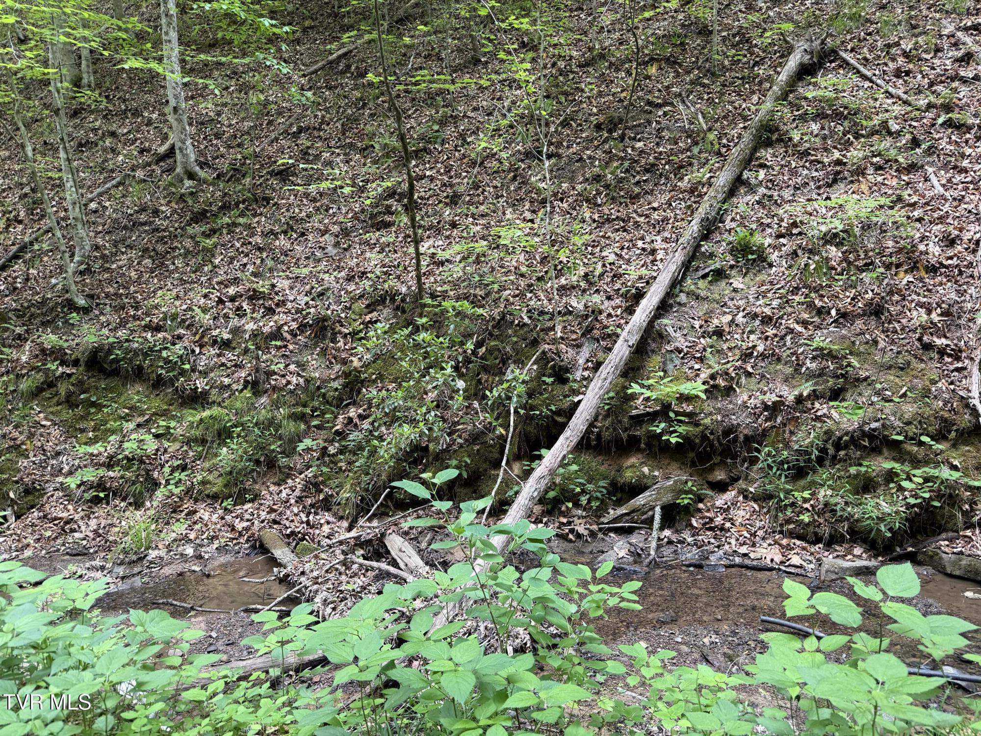 Image 4: IMG_2105
