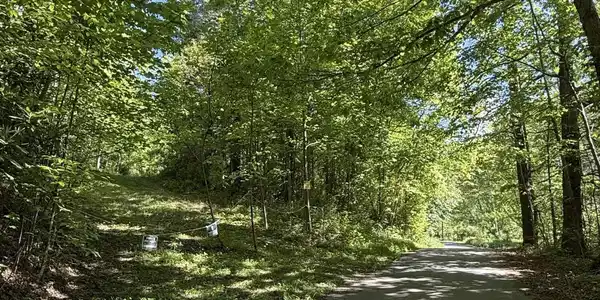 Image 3: IMG_1278