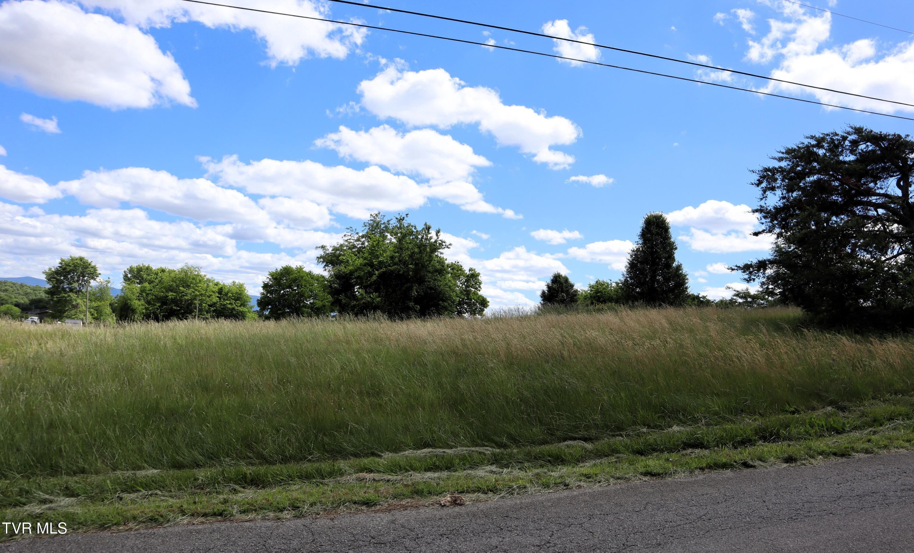 Image 2: IMG_0042