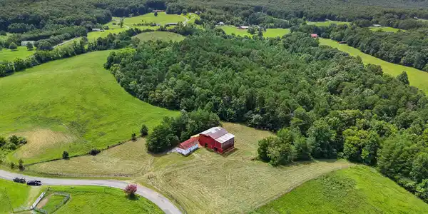 Image 2: Olivet Mountain 2