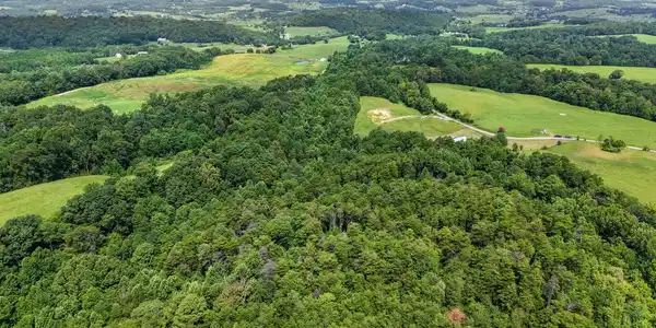 Image 3: Olivet Mountain 3