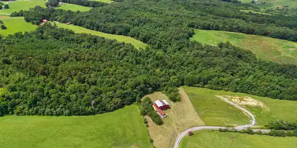 Image 4: Olivet Mountain 4