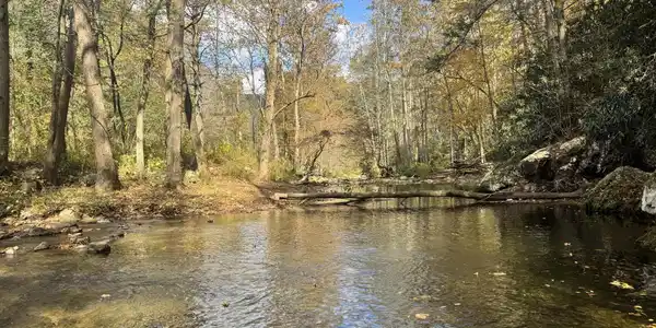 150 Little Branch Road