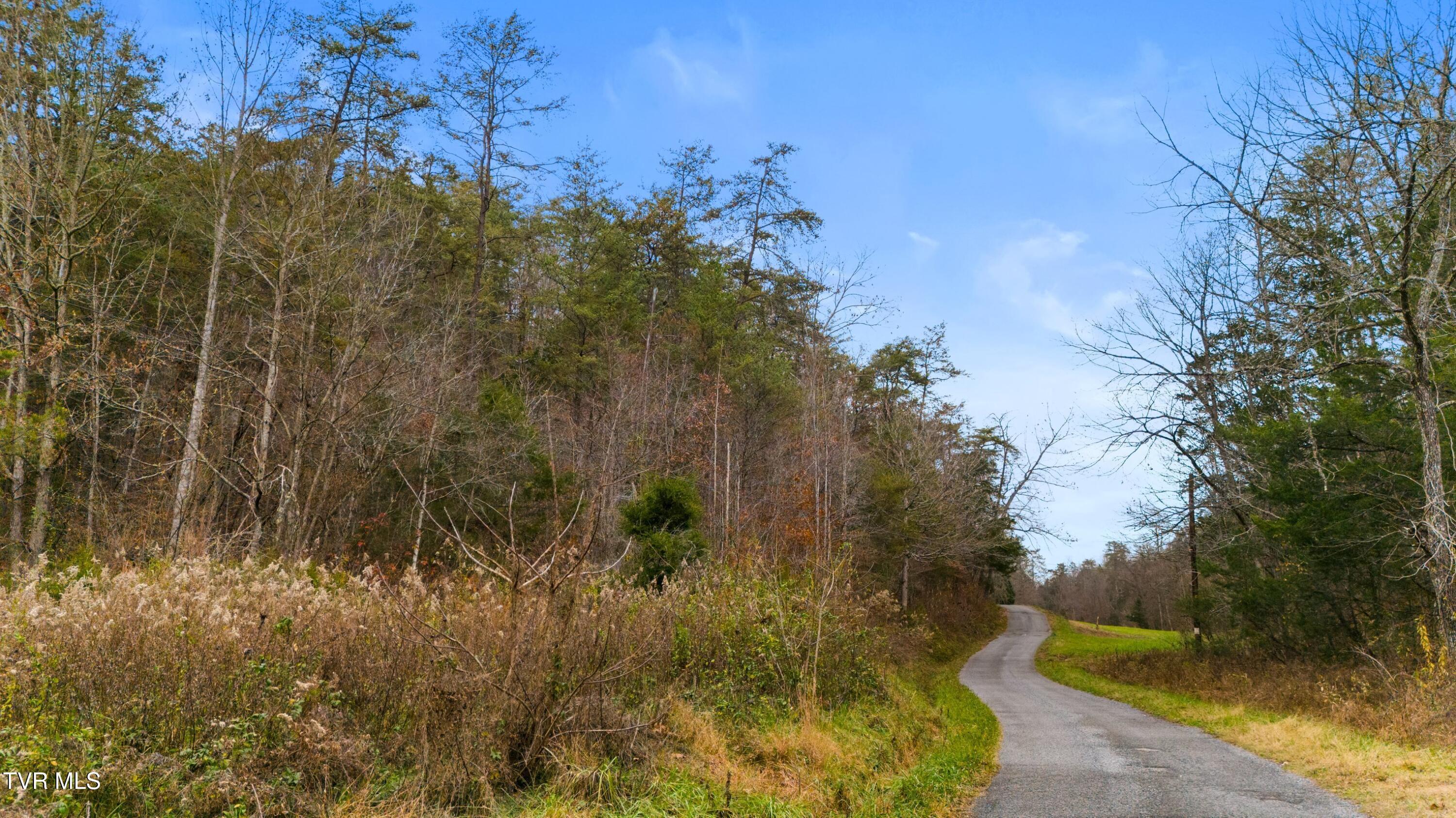 Image 2: 002-661EastPumpkinValleyRoad-Eidson-TN-3