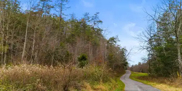 Image 2: 002-661EastPumpkinValleyRoad-Eidson-TN-3