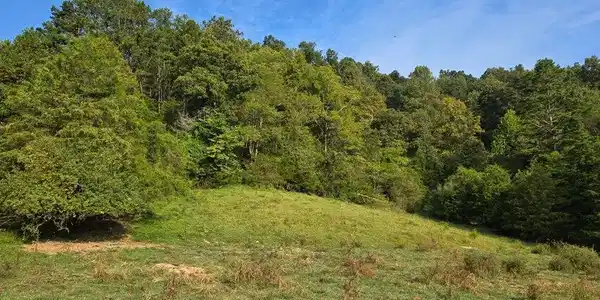 Tbd E Pumpkin Valley Road